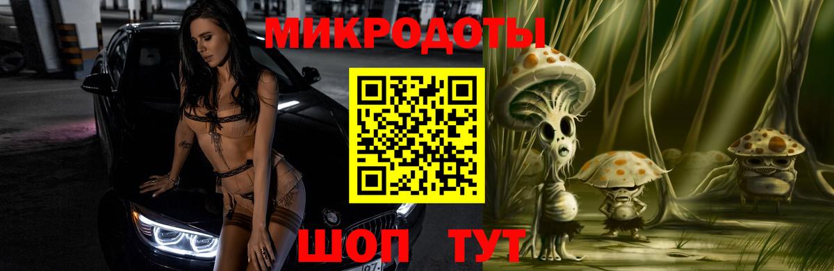 Славянск-на-Кубани  купить закладку  Вход с VPN  Псилоцибиновые грибы Psilocybe 